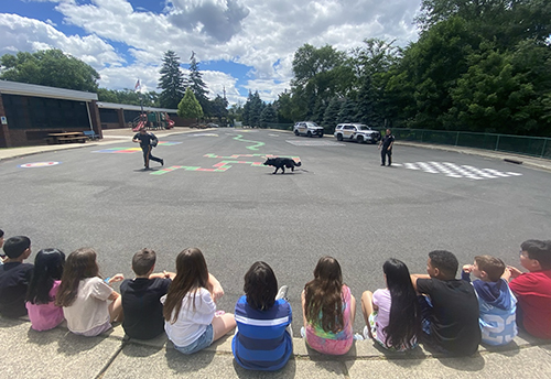 Students watching K-9 unit presentation