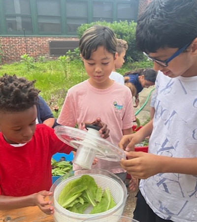 Students putting lettuce in a salad spinner